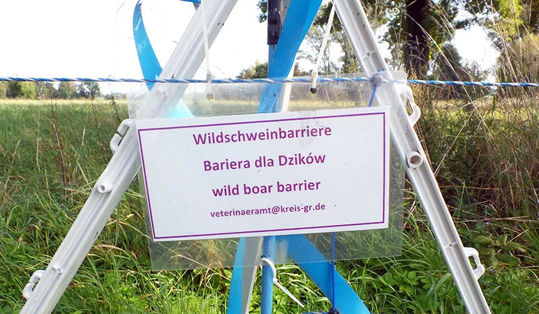 A sign hanging from a rope over a field over crop. The sign says wild boar barrier in several languages. Photo.