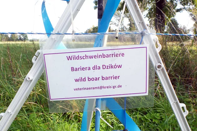 A sign hanging from a rope over a field over crop. The sign says wild boar barrier in several languages. Photo.