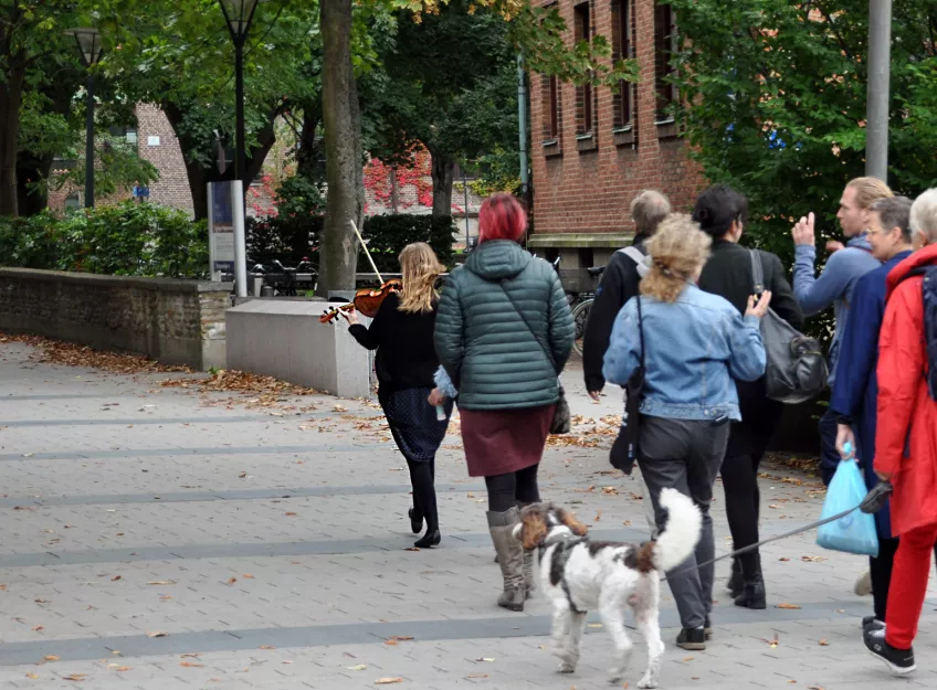 Foto taget bakifrån av flera personer som går längs en gata. Längst fram går en person som spelar fiol.